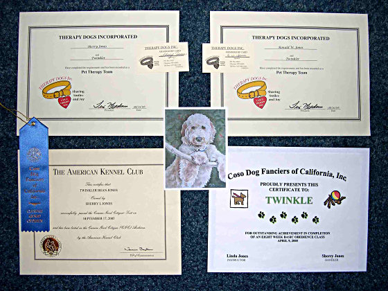 Twinkler's Certifications
