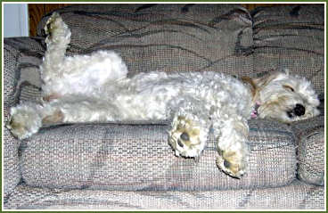 Annabelle 11 months…….her favorite position…….belly jelly