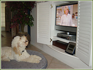 Bonzer watches Martha Stewart!