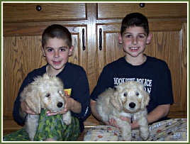 Aidan and Aaron with their new Goldendoodle puppies