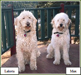 Lakota & Max