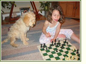 Learning Chess