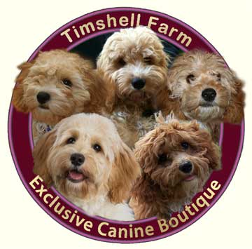 The Exclusive Canine Boutique