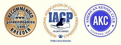 GD.com, IACP, AKC Logos