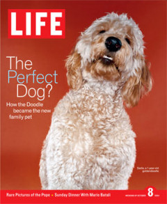 Sadie on Life Magazine cover