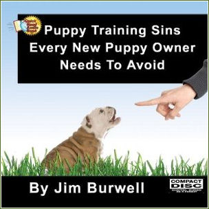 Puppy Training Sins Every New Puppy Owner Needs To Avoid