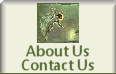 About Us/Contact Us