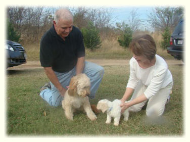 Puppy Visiting Days at Timshell Farm
