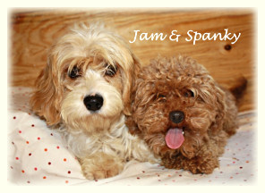 Jam & Spanky