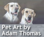 Pet Art by Adam Thomas