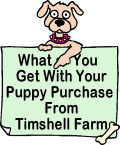 What you get with your puppy purchase from Timshell Farm!